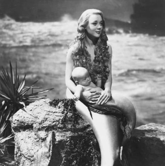 Meet your Posher, Samantha - Picture 1 of 1